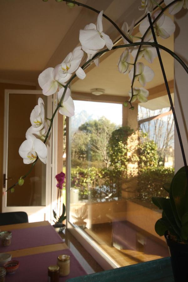 Agriturismo Badalone 도마소 외부 사진