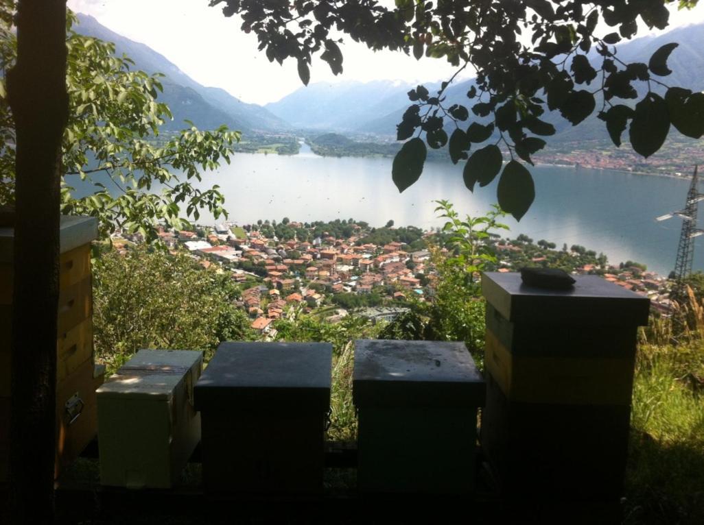 Agriturismo Badalone 도마소 외부 사진