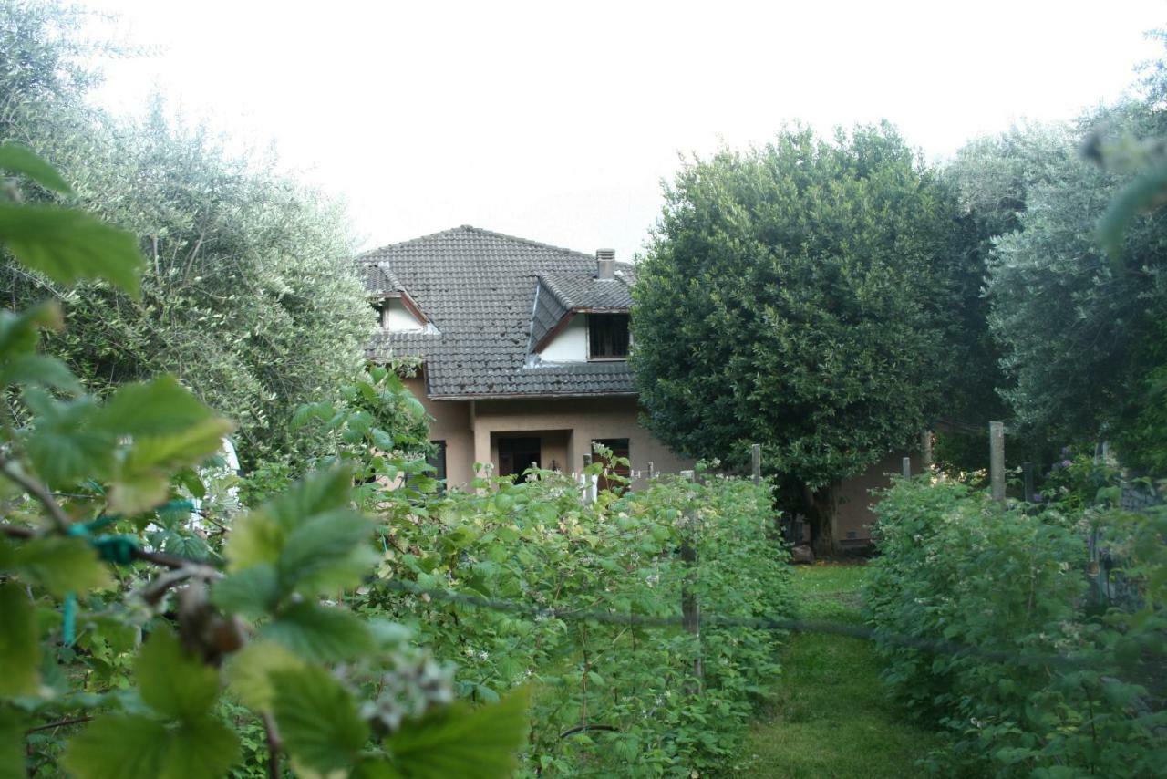 Agriturismo Badalone 도마소 외부 사진
