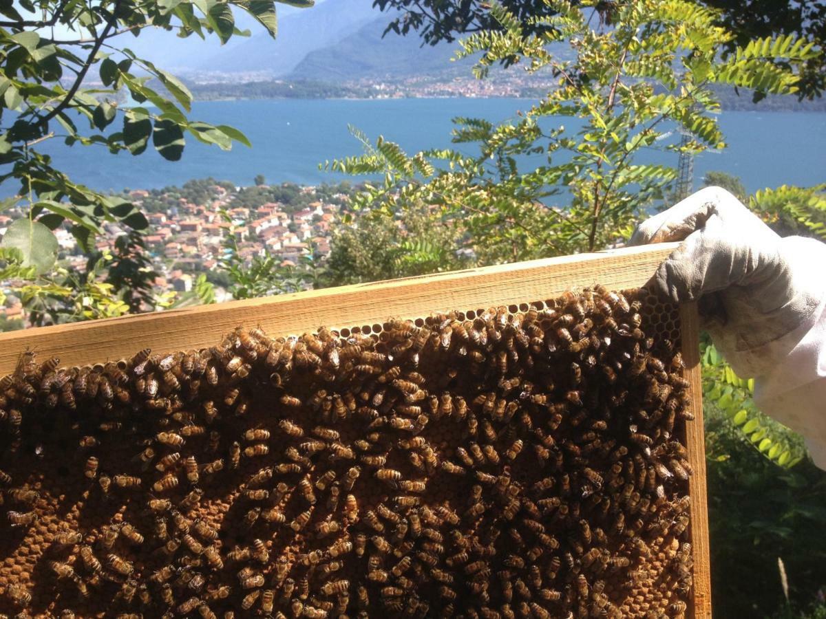 Agriturismo Badalone 도마소 외부 사진