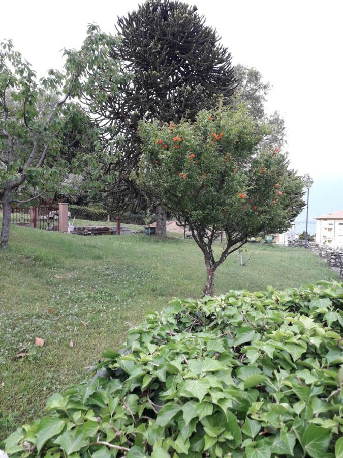 Agriturismo Badalone 도마소 외부 사진