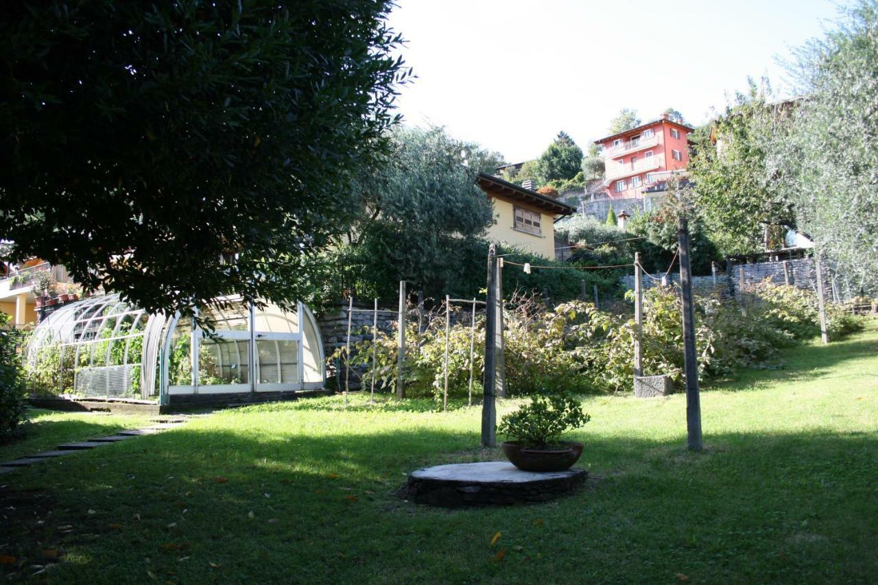 Agriturismo Badalone 도마소 외부 사진